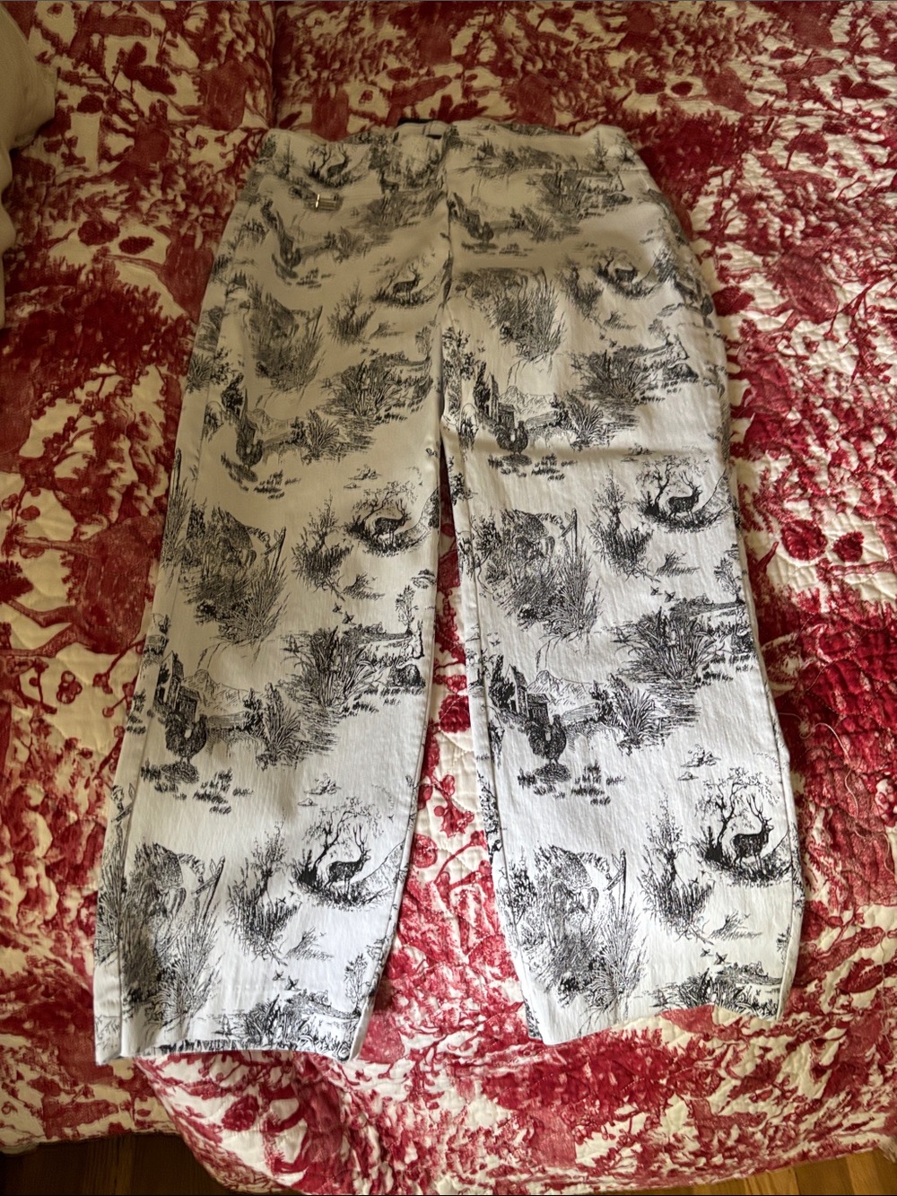 Woman’s White & Black Illustrated Print Pants